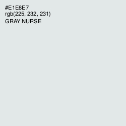 #E1E8E7 - Gray Nurse Color Image